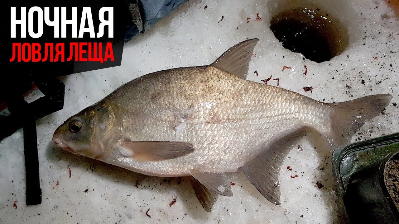 Зимняя рыбалка. Ловля леща зимой. Палатка, ночь, река Кашинка