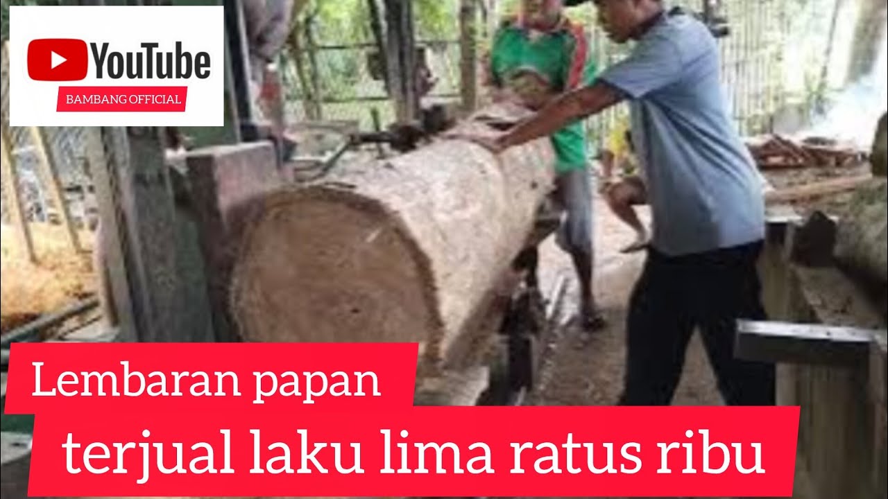 Lembaran papan terjual laku lima ratus ribu#bengkelkayu 