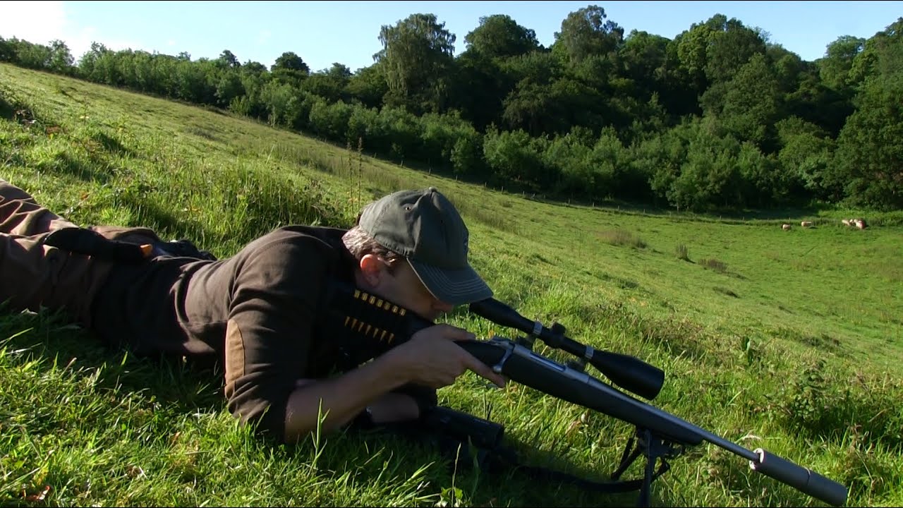 Deer Stalking Ballistics