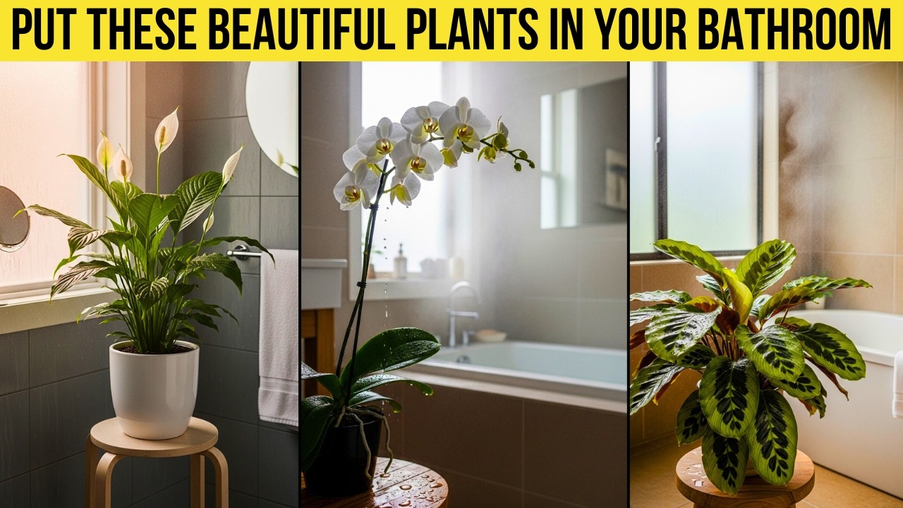 7 Bathroom Plants That Love Humidity and Low Light