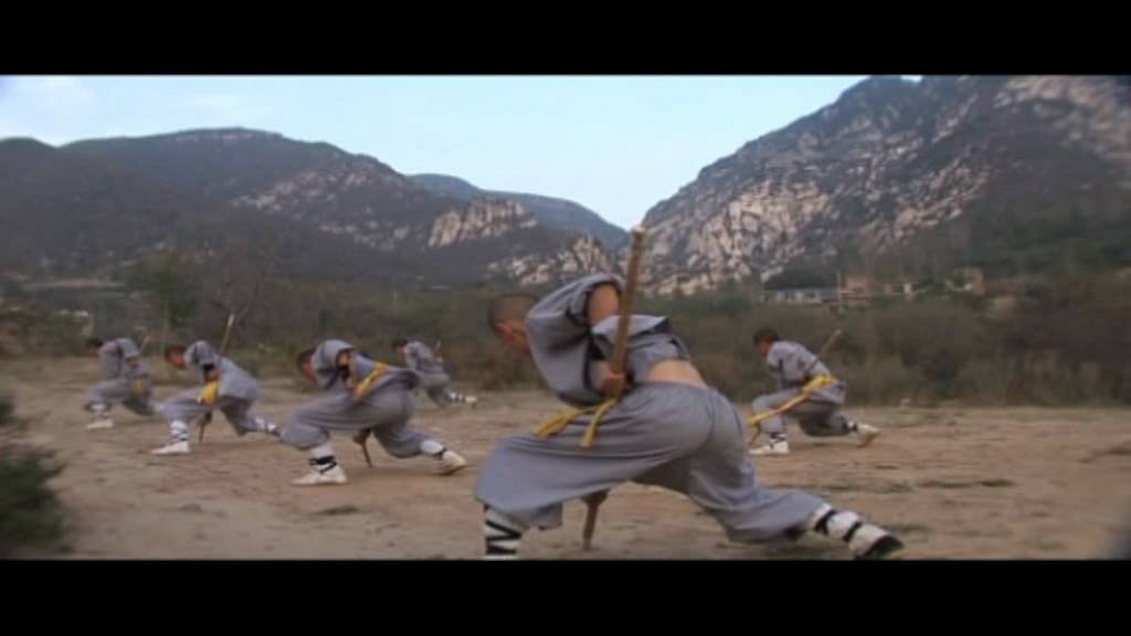 The real shaolin kung fu