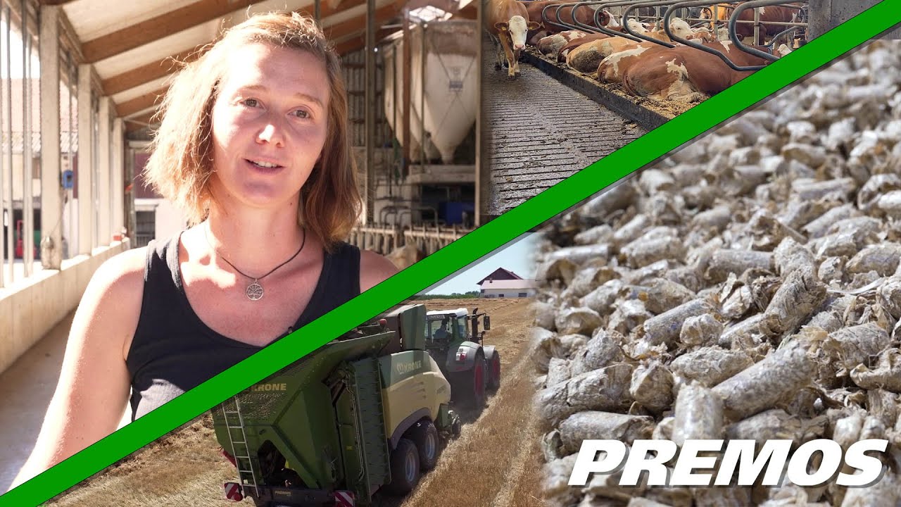 Milchviehbetrieb Nitzl – weniger Arbeit und mehr Komfort dank KRONE Premos Pellets