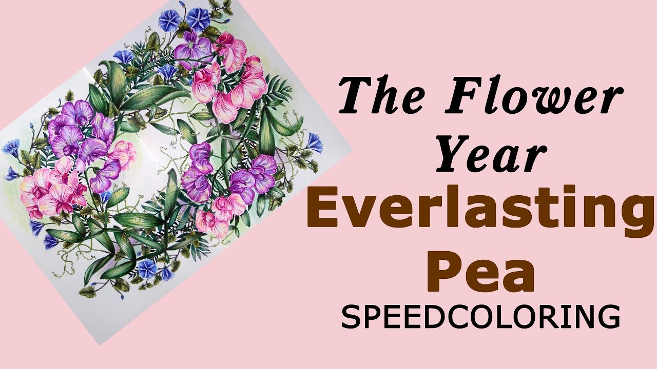 'Flower year' Everlasting Pea. Speedcoloring / Раскраска-антистресс