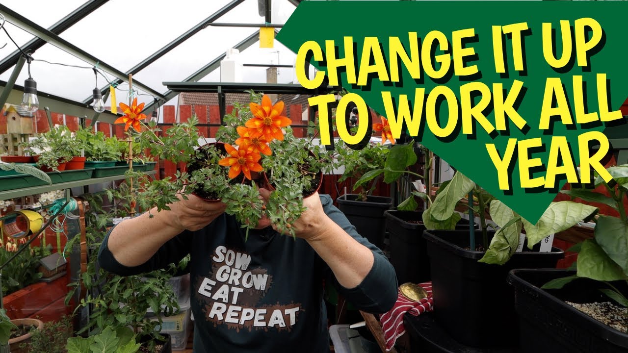 Setting up the new greenhouse: making the most of your space