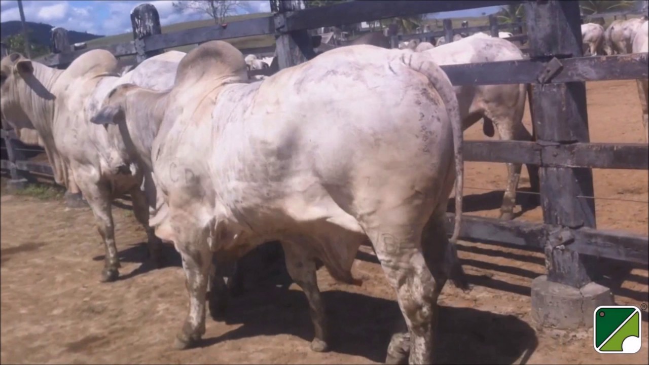 Avaliações Visuais PARTE 2 - EPMURAS - Retrato Falado