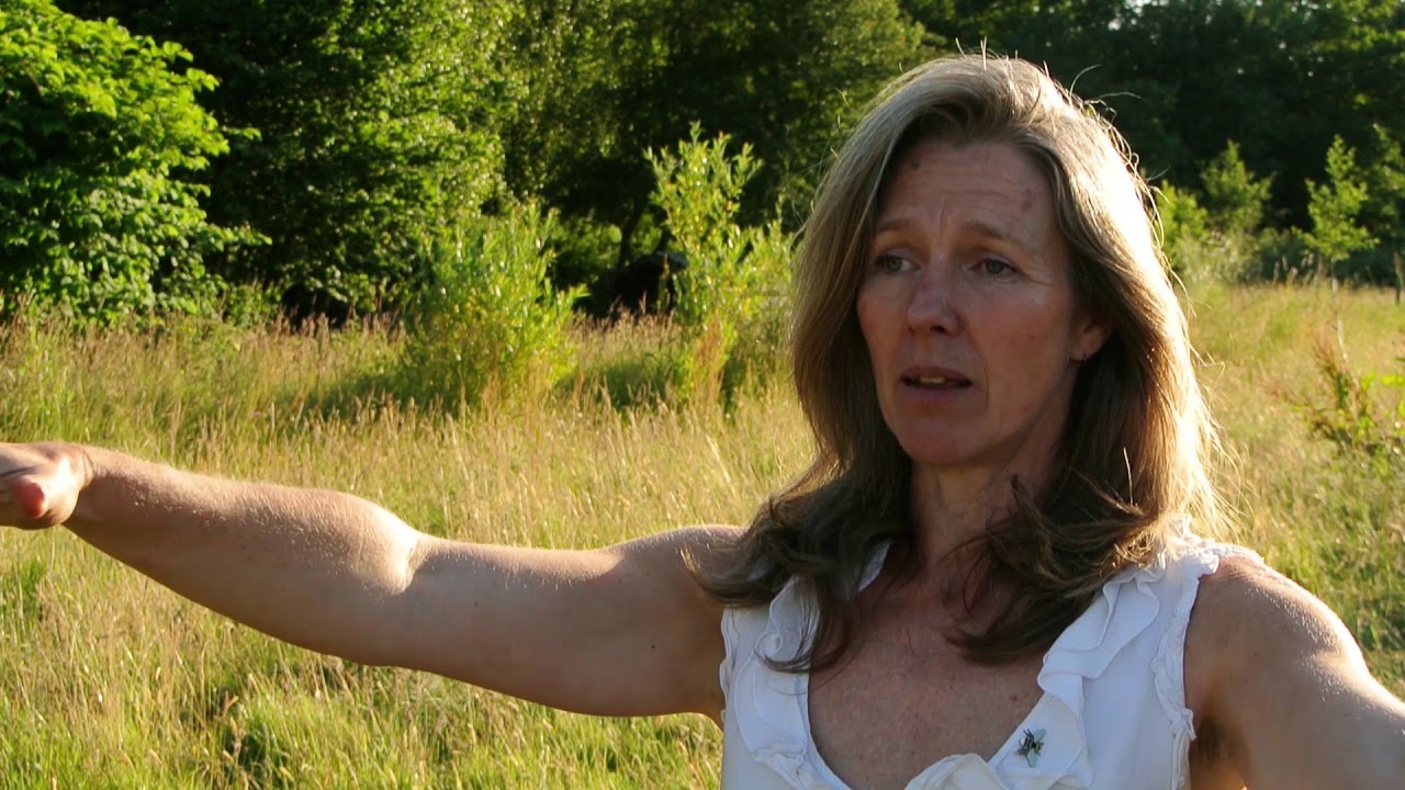 The Crossing - Community Supported Agriculture