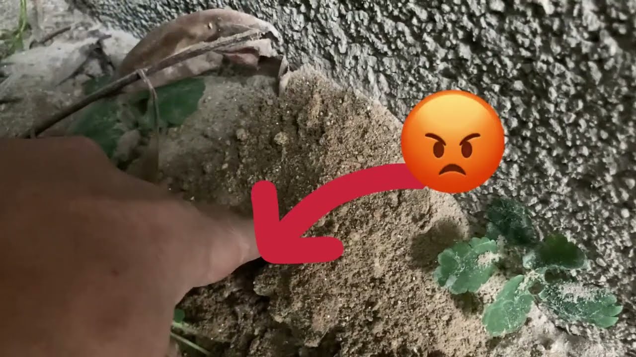 Murs #humides / #humidité dans les murs maison ancienne traiter remontées capillaires traitement