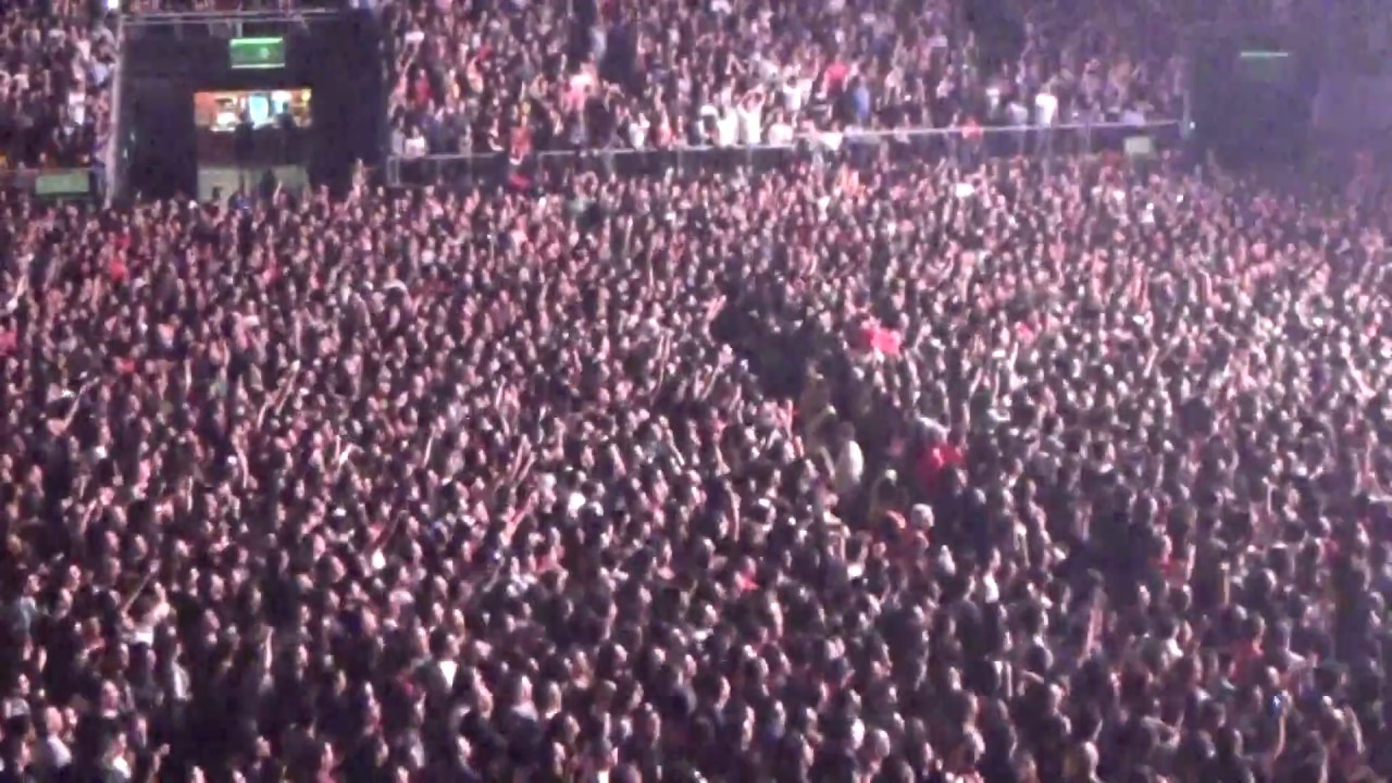 Pearl Jam en Chile 2018 - Animal
