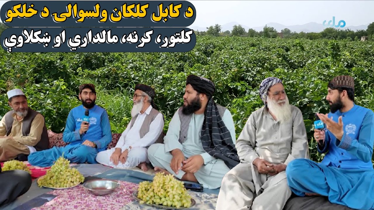 لاروی؛ د کابل کلکان ولسوالۍ د خلکو کلتور، کرنه، مالداري او د دغه ولسوالۍ طبیعي ښکلاوې