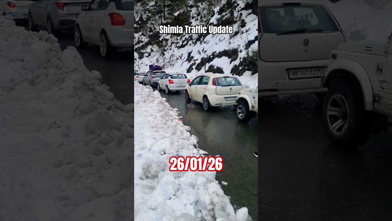 Shimla Traffic Update 26 Jan 26 #viral #trendingshorts