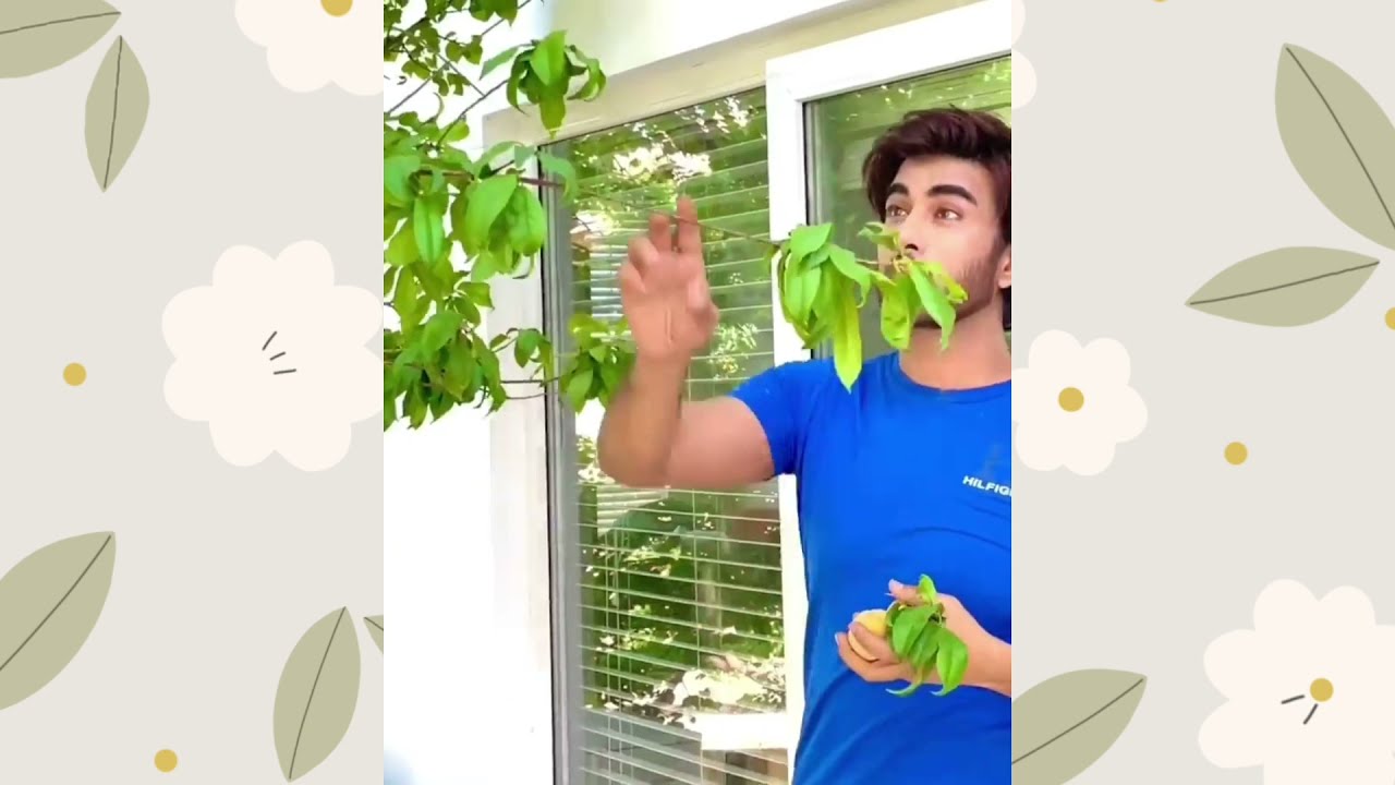 Fresh Organic🍒🍑 Berries Harvest By  Popular &Most Handsome Hero IMRAN ABBAS 😍|Hashim