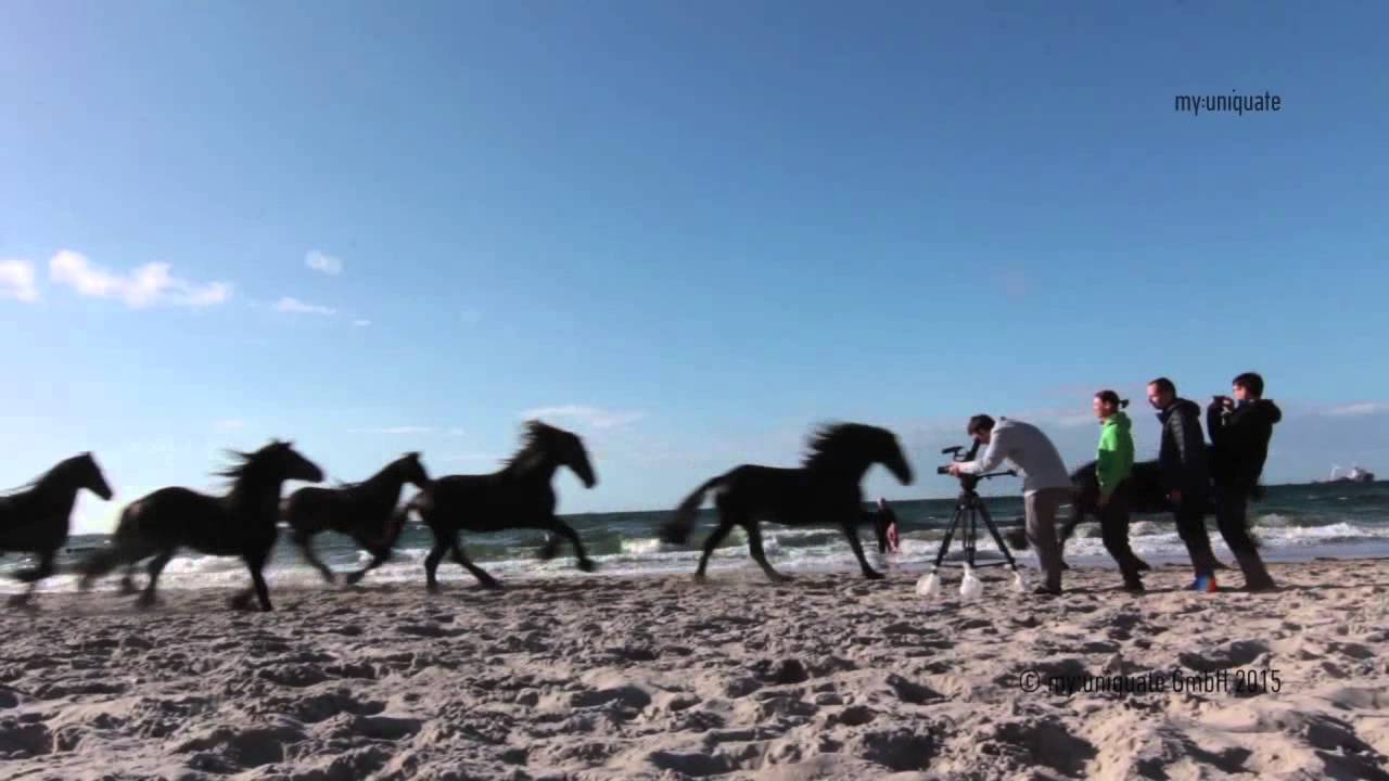 Friesen in Freiheit | Making Of: Hinter den Kulissen // Making Of: Behind the Scenes