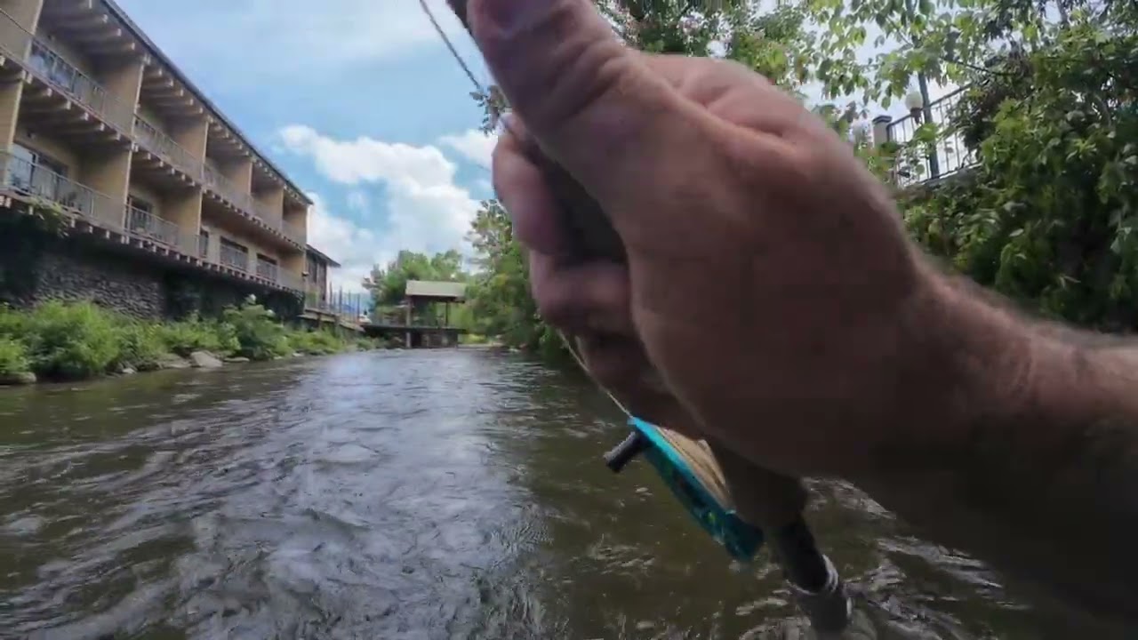 Gatlinburg flying trout.