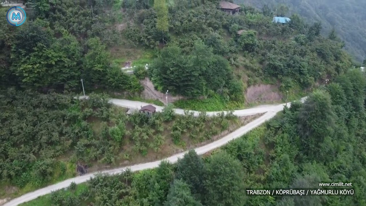 Trabzon / Köprübaşı / Yağmurlu Köyü