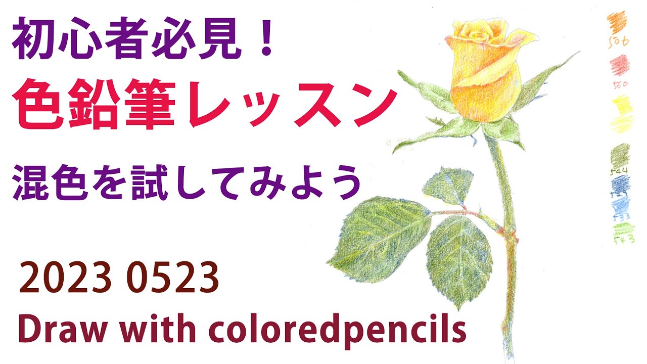 【色鉛筆画】2時間用レッスン課題。バラ描く、軽く混色してみる