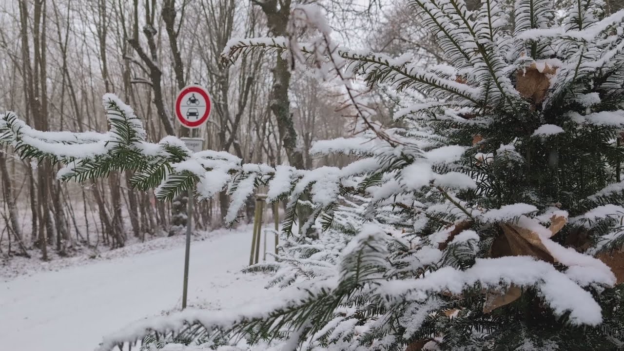 Winterimpressionen
