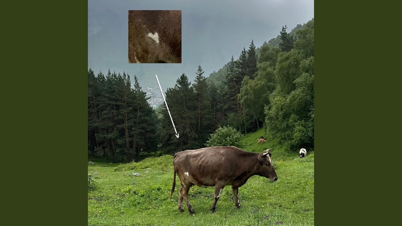 времени