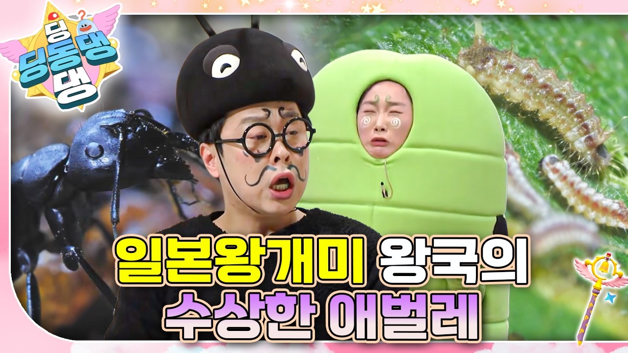 일본왕개미가 아픈 애벌레를 데리고 동물병원에 찾아왔어요! 🐜🐛ㅣ딩동댕 딩동댕ㅣ일본왕개미 왕국의 수상한 애벌레