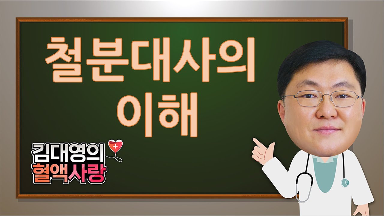 [김대영의 혈액사랑] 철분 대사의 이해