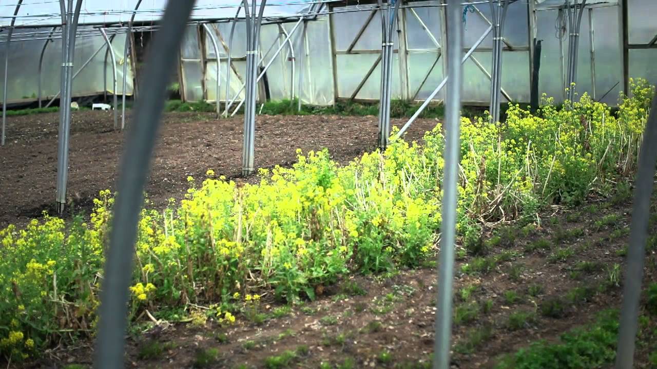 Making the Connection (entire film, 30min)