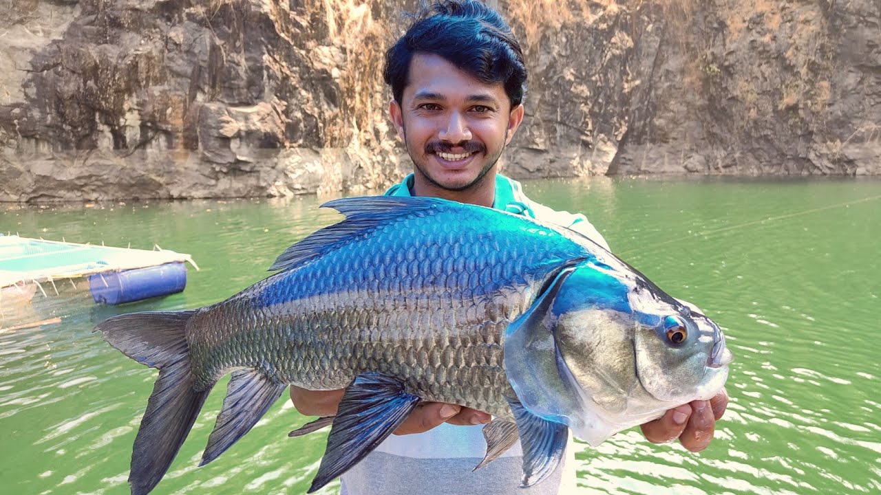 പാറ മടയിലെ കൊമ്പനെ പൊക്കി മോനേ | Quarry Fishing | Katla | Carp Fishing