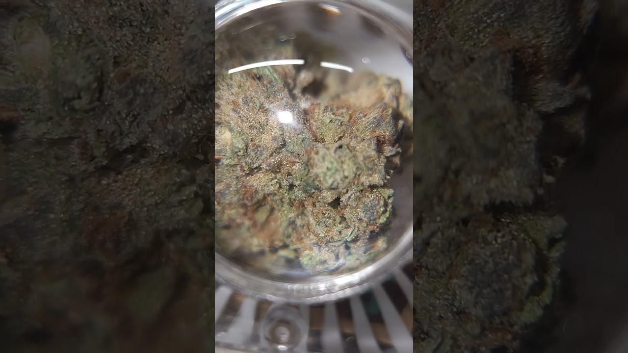 Bud Bar - Strain : Juniper Jive