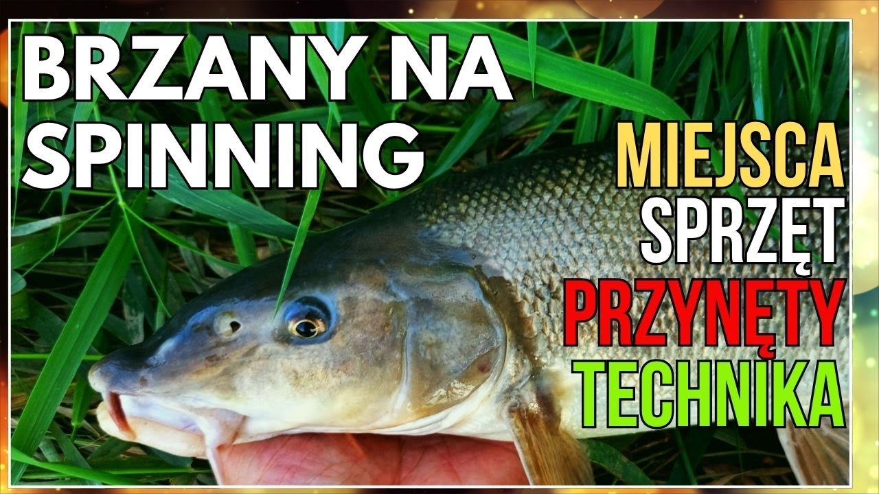 Jak Łowić Brzany Na Spinning - od A do Z! #fishing #wędkarstwo #spinning