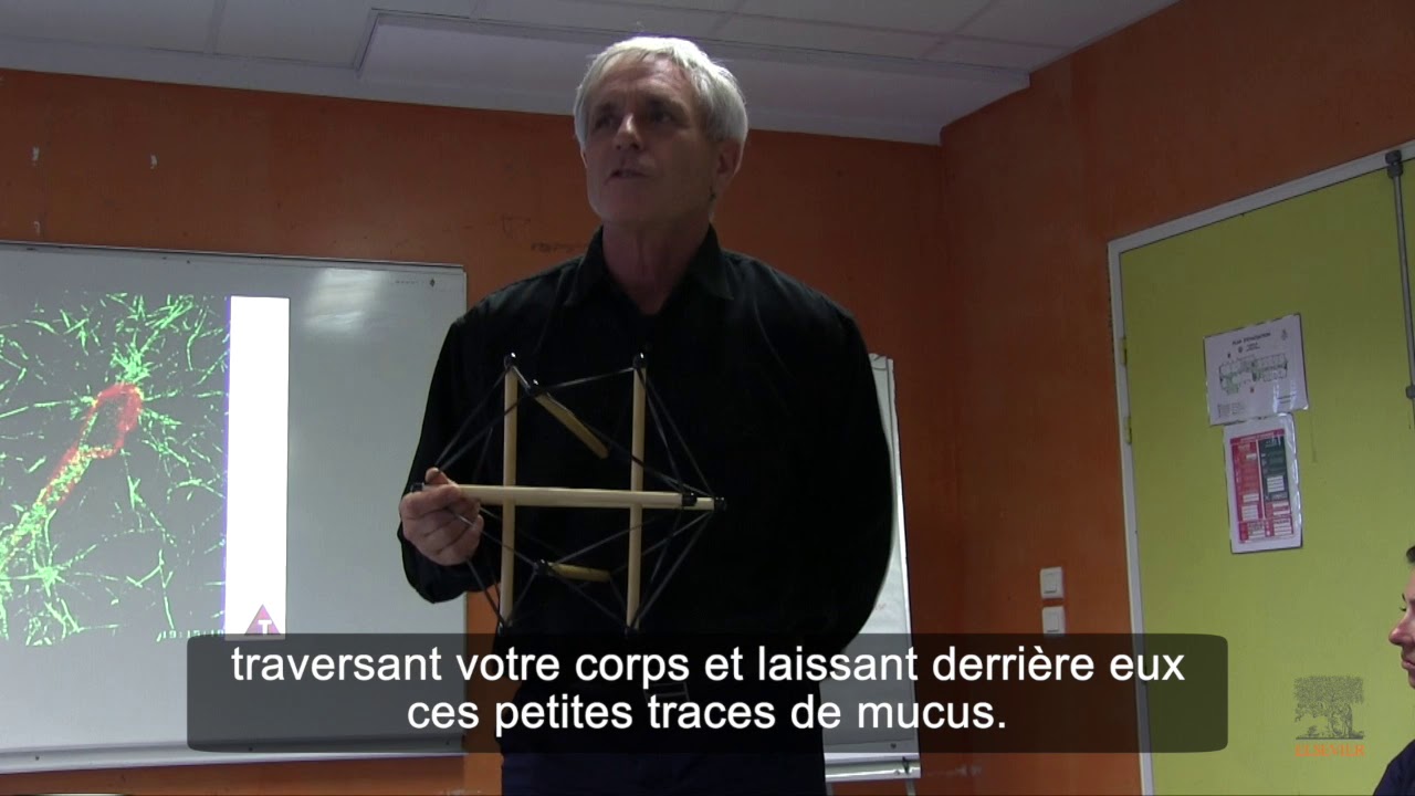 Conférence de T. Myers sur la structure des fascias