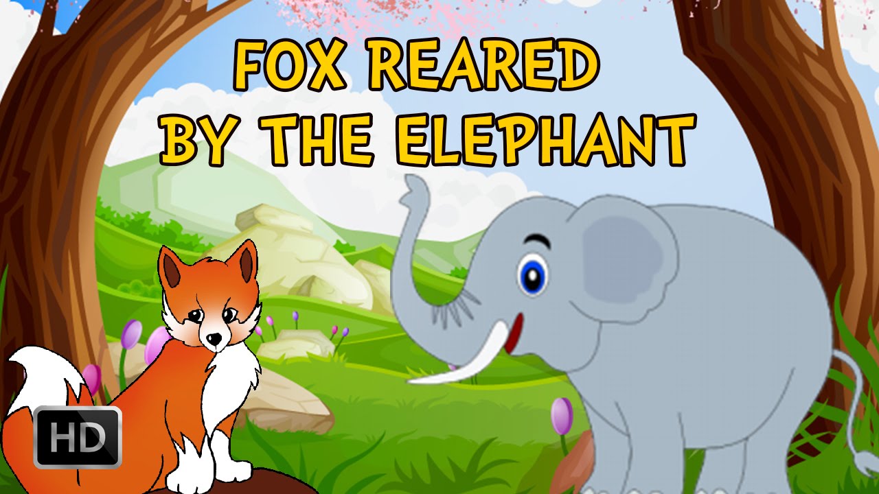 Jataka Tales - The Fox Reared By The Elephant