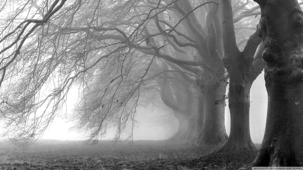 Quaro - Sacrifice to the Void