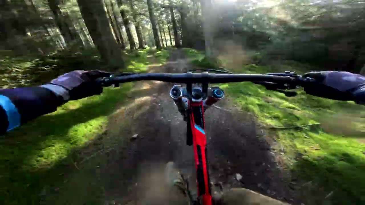 Wild fun red trail Spookywood descent Glentress