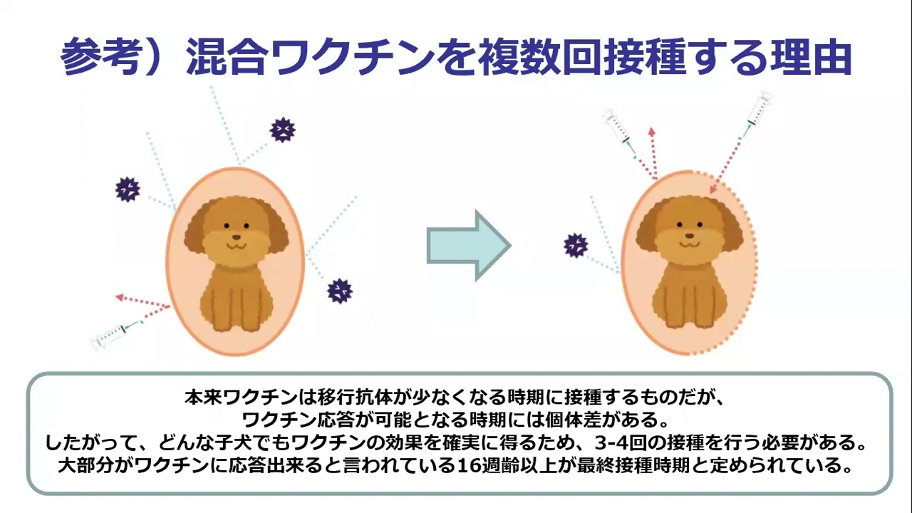 ワンダフルライフのために