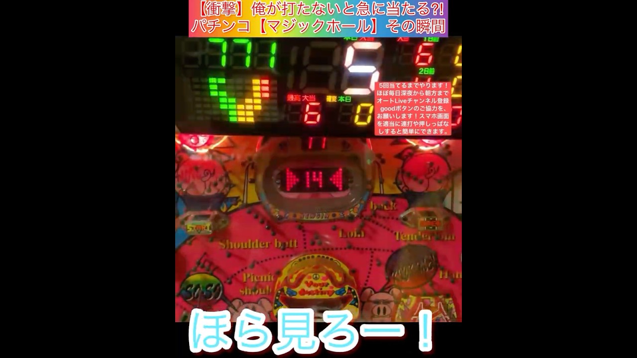 【パチンコ座敷わらし】vol①【マジックホール】　#shorts