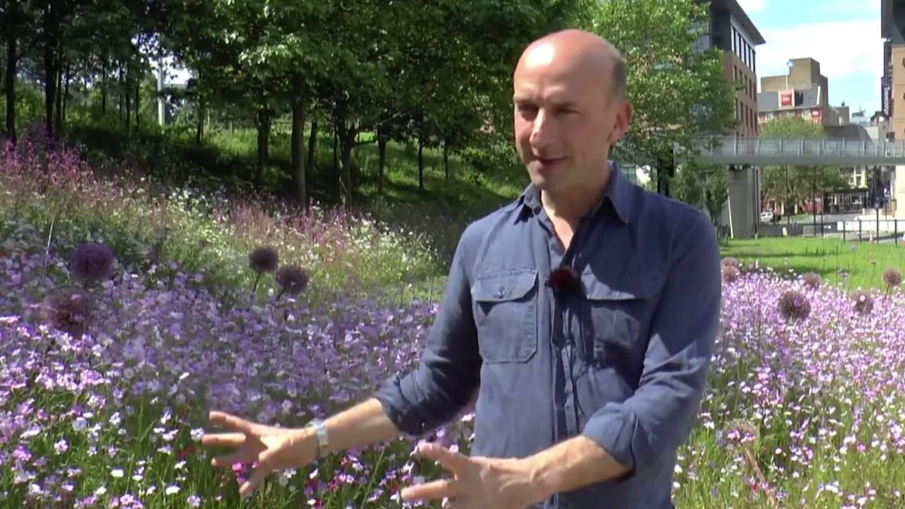 Dramatic Perennial Landscapes with Pictorial Meadows