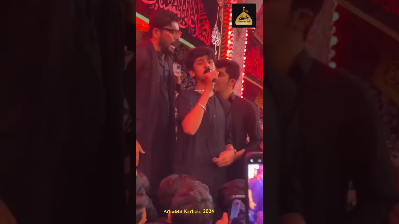 Nauha || Mir Hasan Mir || Arbaeen Karbala 2024 || Hussain Tak