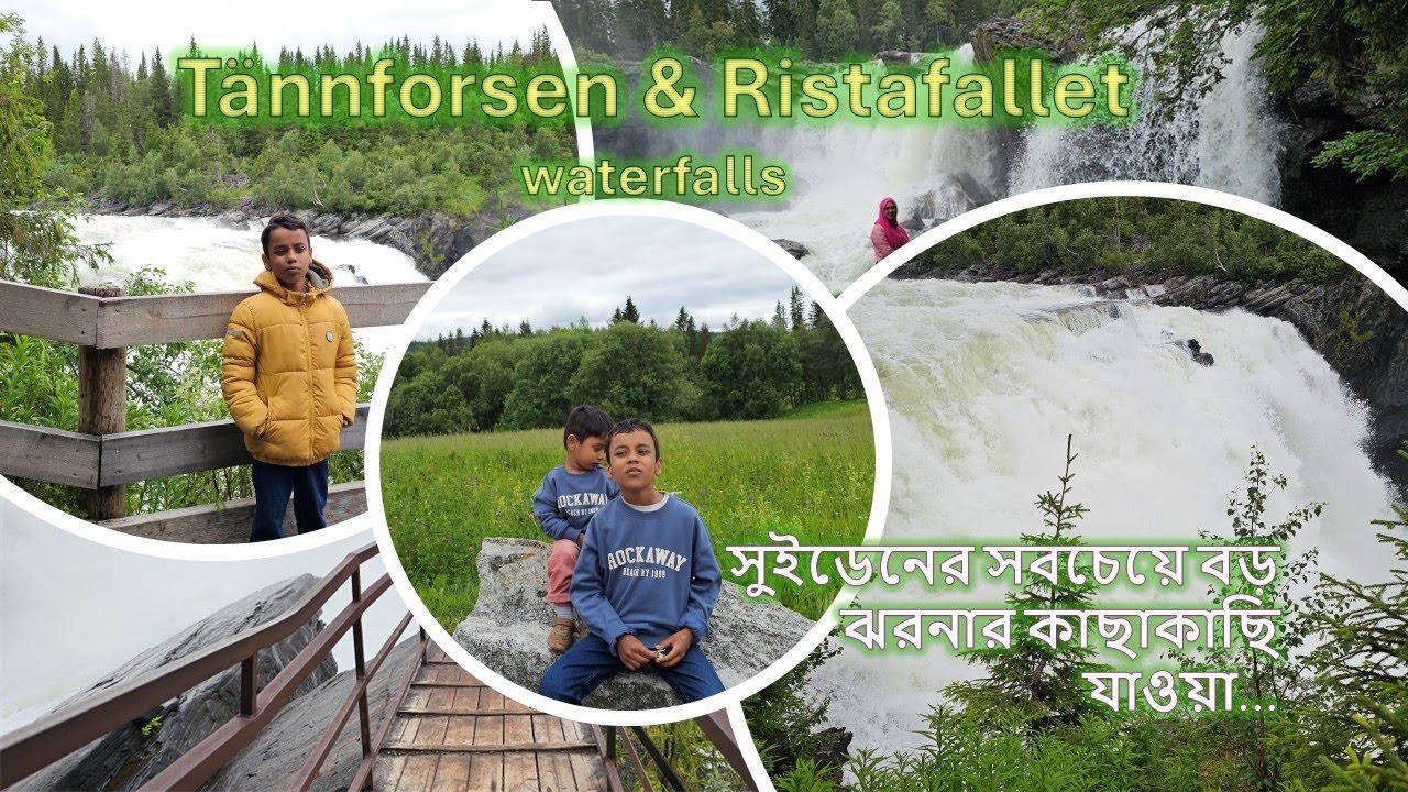 ঘোরাঘুরি ট্যানফরসেন আর রিস্তাফলেট ঝরনা দেখতে - Tannforsen & RistaFallet Waterfall