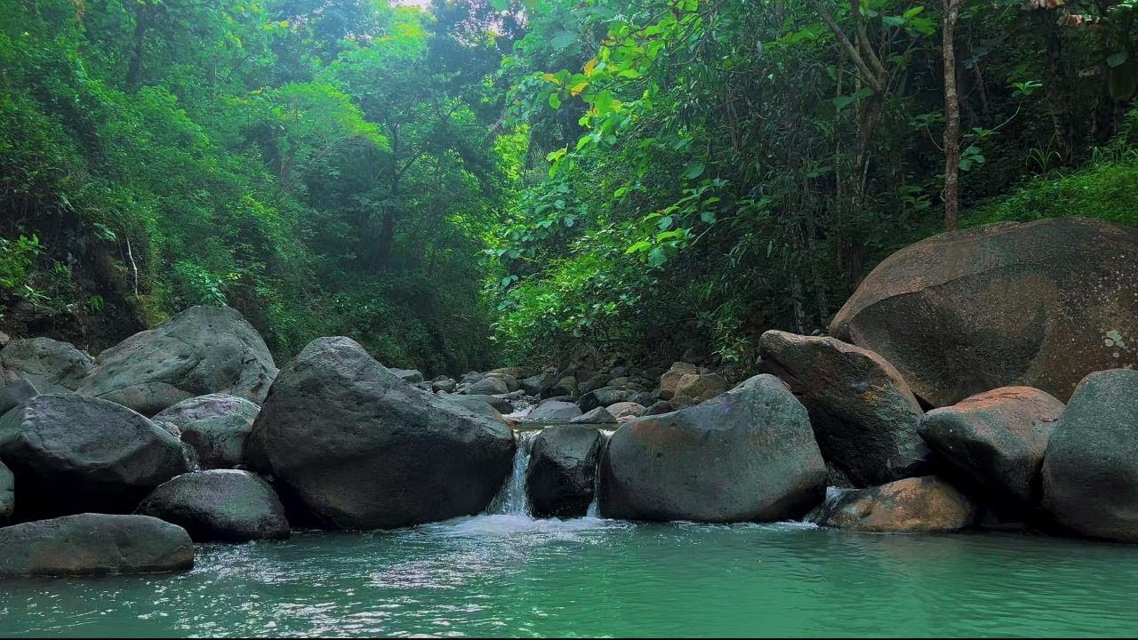Beautiful River Sounds for Deep Sleep | Relaxing Water Ambience for Sleeping, Studying & Meditation