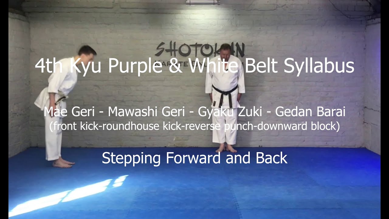 Mae Geri   Mawashi Geri   Gyaku Zuki   Gedan Barai