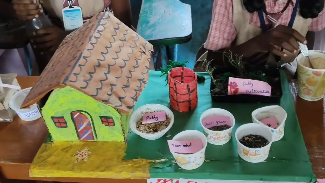 Science Expo Clips On 13.02.2026#school #teachersdiary 