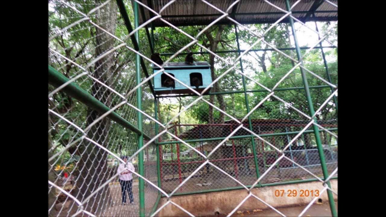 PARQUE DE LOS MONOS. MATAGALPA, NICARAGUA. 2013