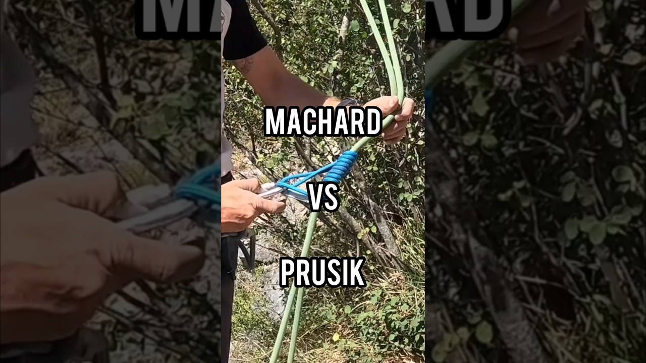 🪢 Машар против Прузика
