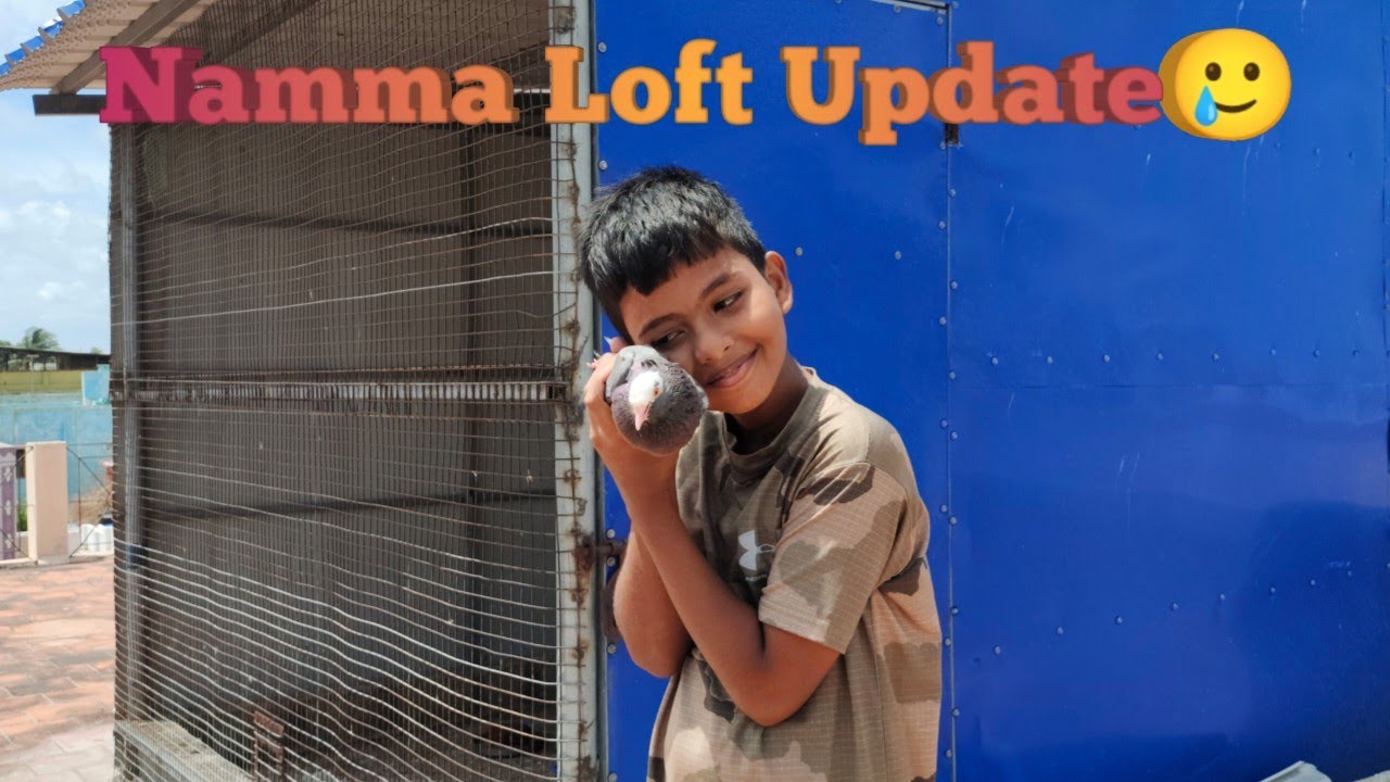 Vaaga Namma Loft Update Pakalam😍🤩 | தமிழ் | @blue loft