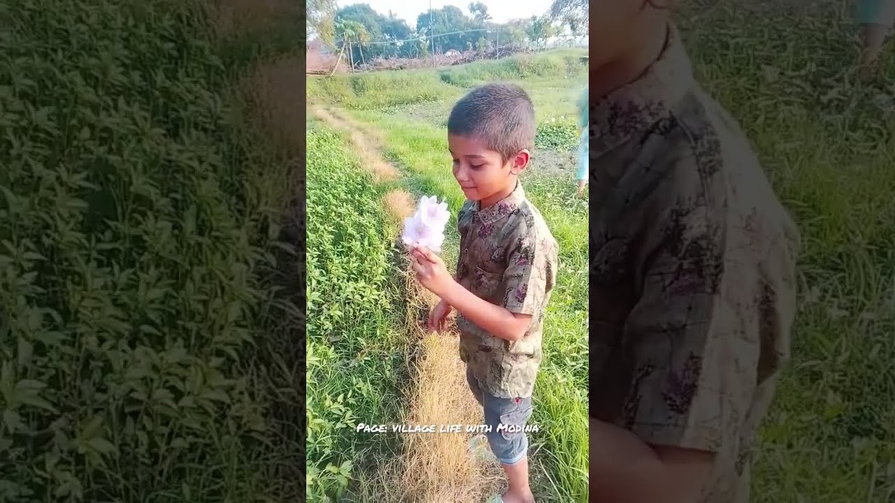 নিজের হাতে খেত থেকে তুলে টাটকা পাট শাক রান্না করলাম। আমার সাধারণ গ্রামীণ রান্না বান্না মাটির চুলায় 