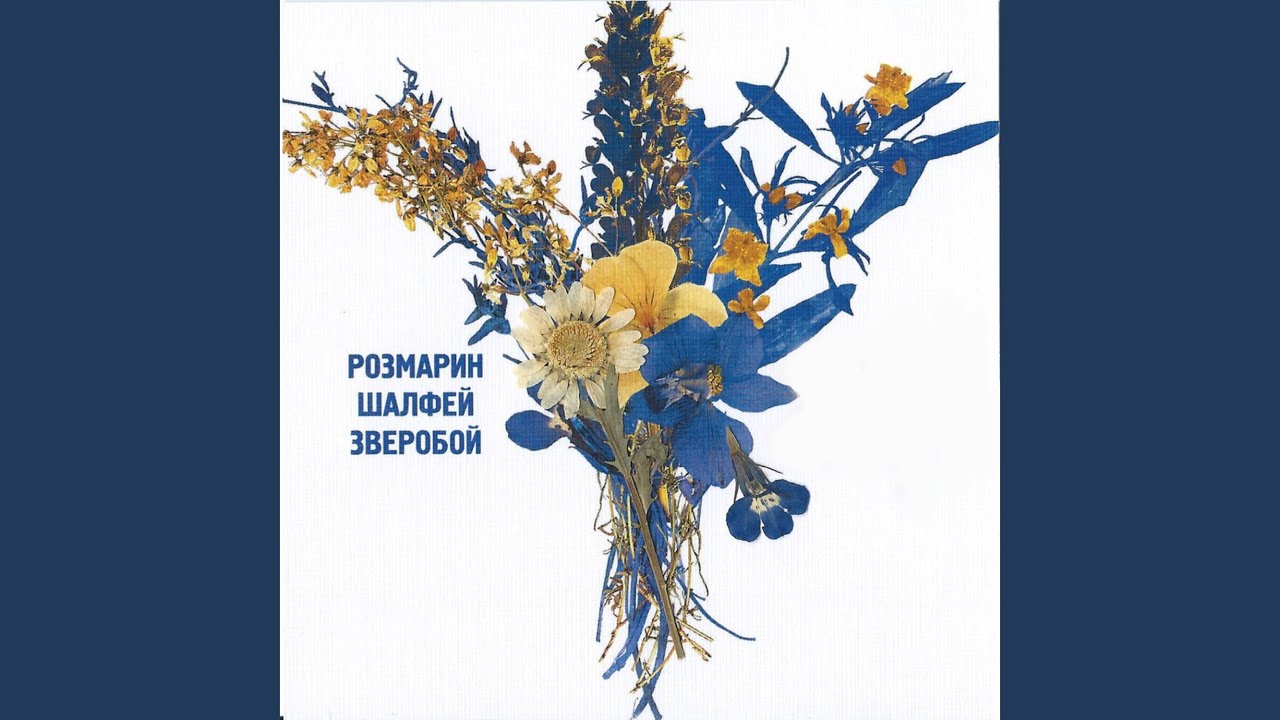 Август
