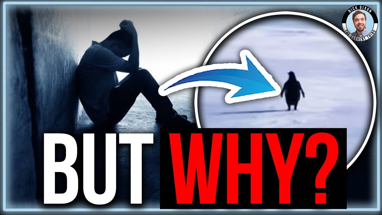 Why the Left Don't Get the Penguin Meme
