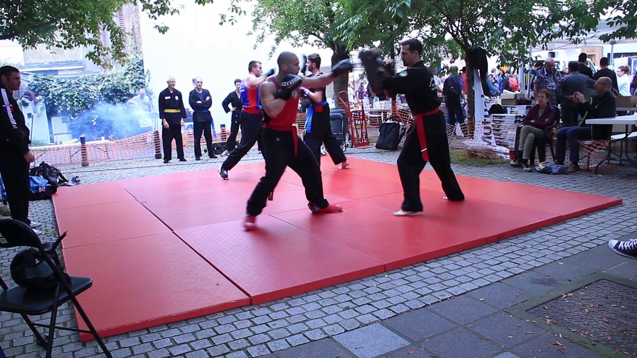 Minh Long Rennes Dragon d'Or 2017 Arts Martiaux