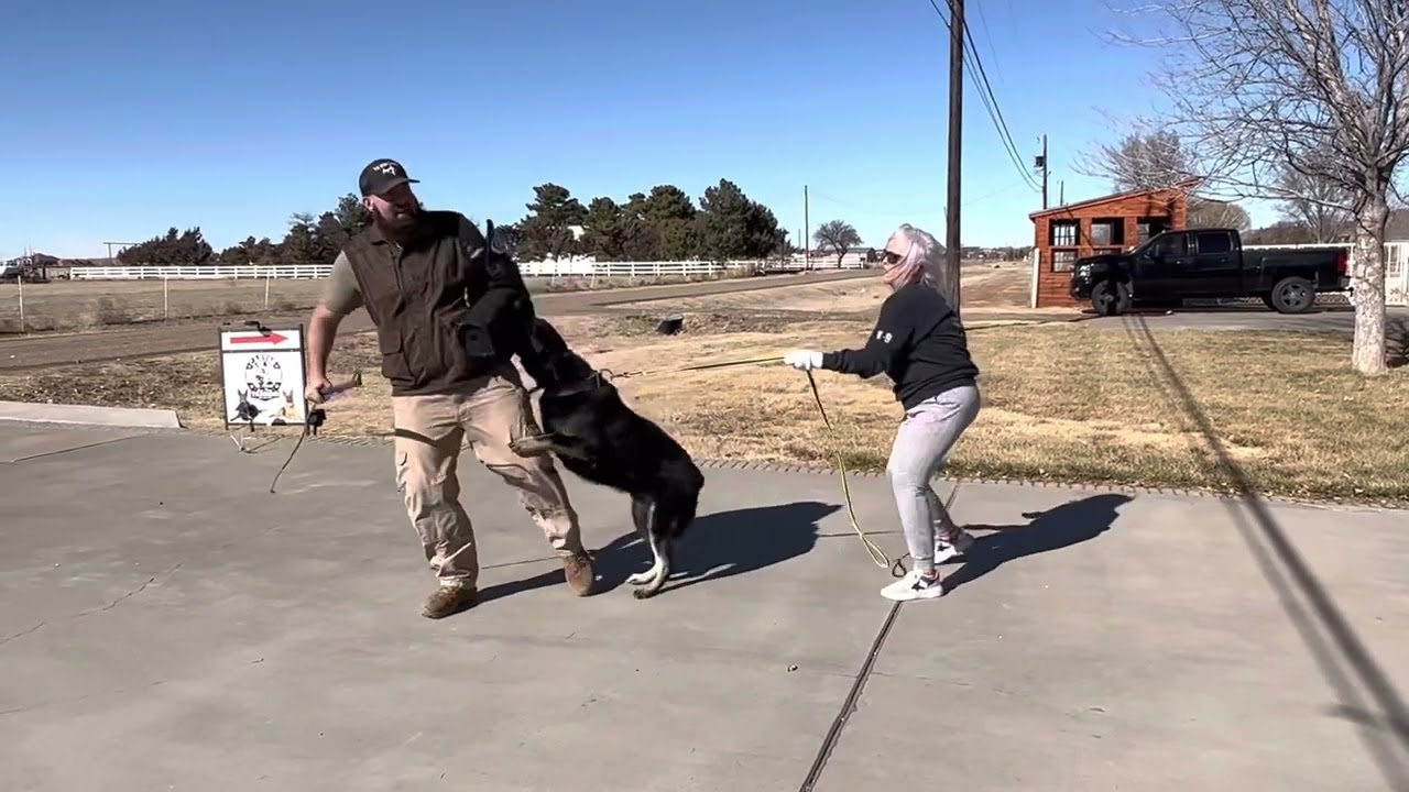 The Iron Borns “Aurelius” 1 yr bite work