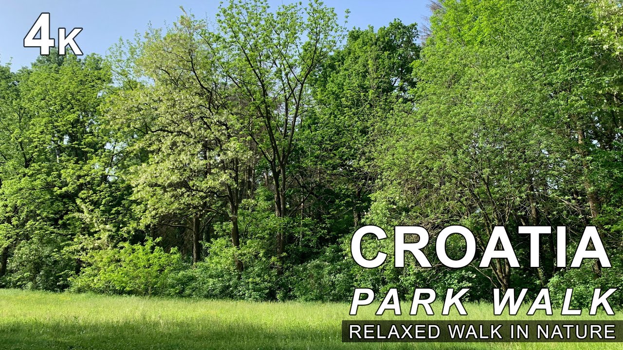 First person walking in the woods | relaxed walk in nature