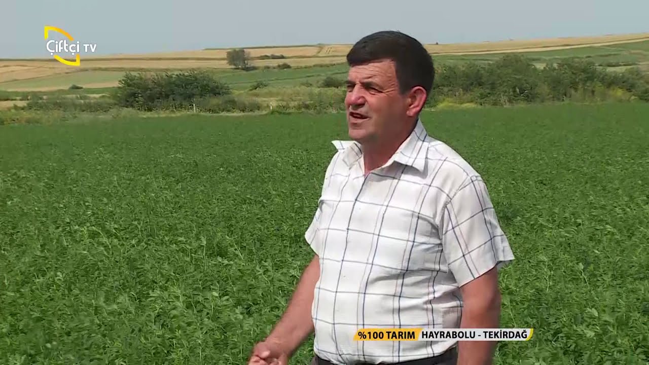 % Yüz Tarım-Yonca Yetiştiriciliği