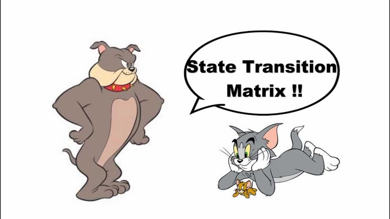 12 State Transition Matrix